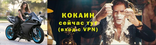 шишки Белокуриха