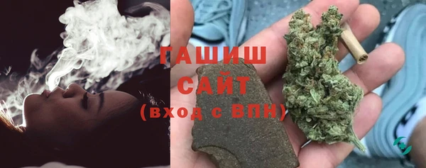 гидра Богданович