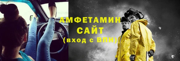 гидра Богданович