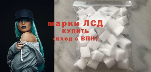 гидра Богданович