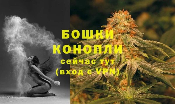соль ск Богородск