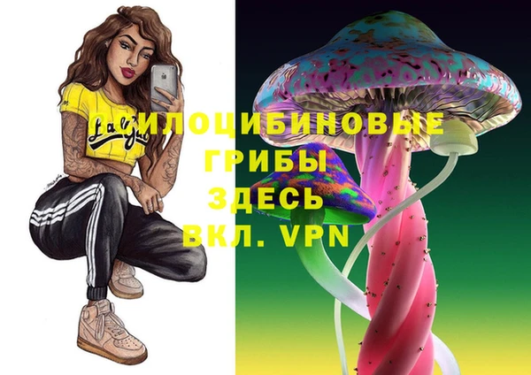 соль ск Богородск