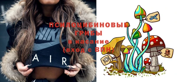 гидра Богданович