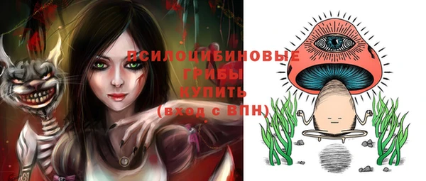 гидра Богданович
