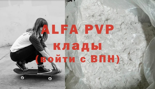 гидра Богданович