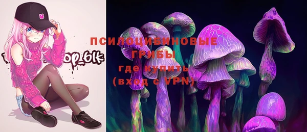 гидра Богданович